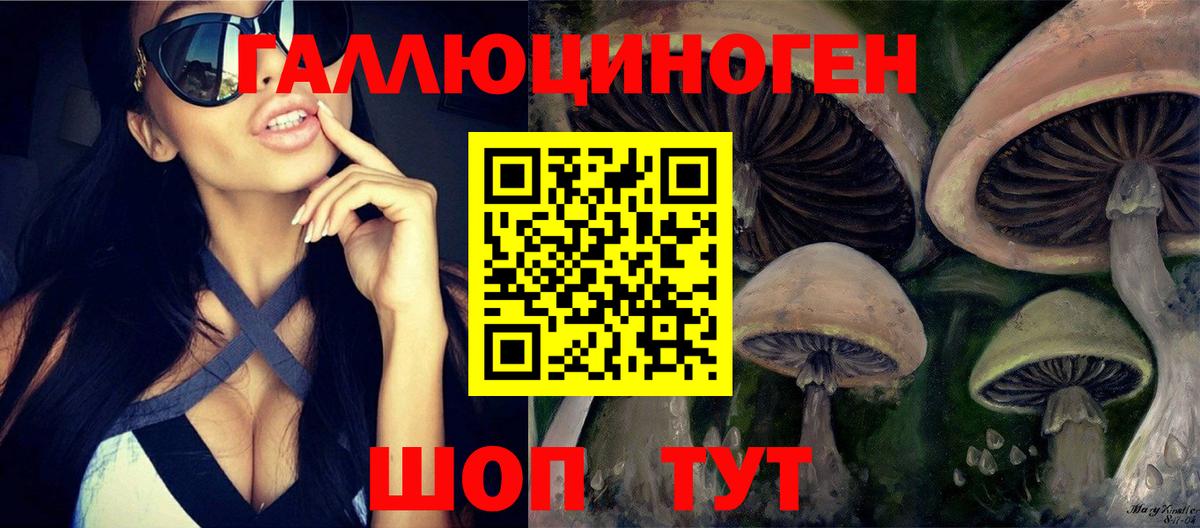 Кандалакша  где найти наркотики  Вход с VPN  Галлюциногенные грибы Psilocybe  Псилоцибиновые грибы прущие грибы 