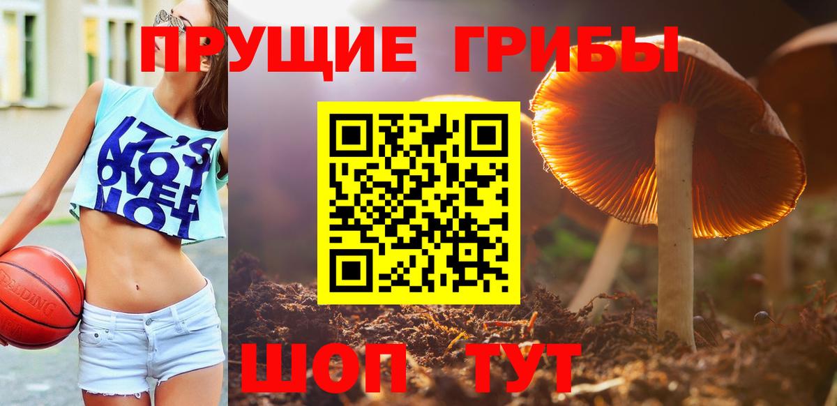 Галлюциногенные грибы GOLDEN TEACHER Кандалакша